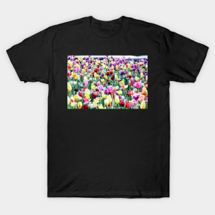 Tulips T-Shirt